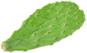 Sudėtis