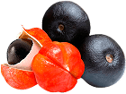 Sudėtis